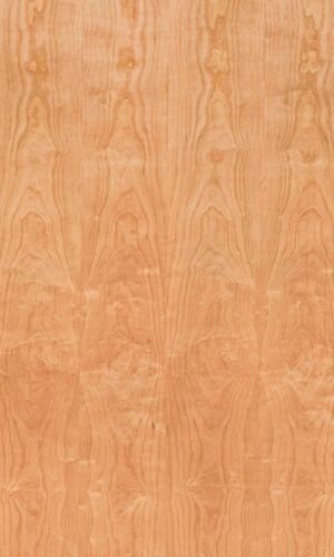 American Cherry | NV-427
