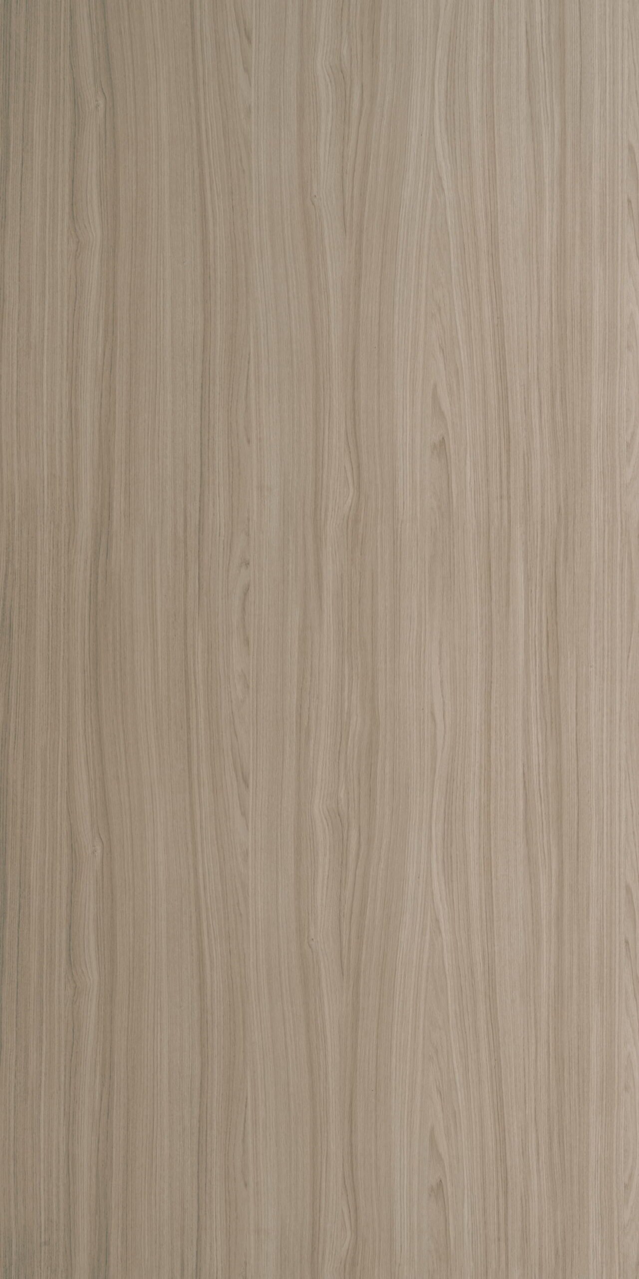 Antaris Oak Light - 6385 SU