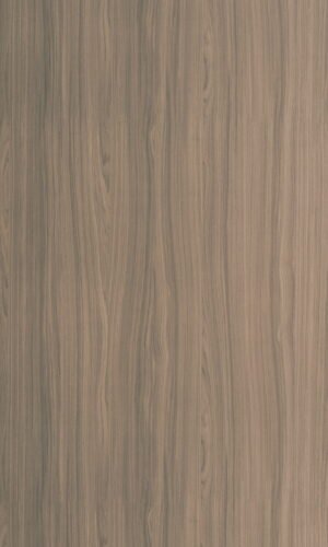 Antaris Oak Medium - 6387 SU