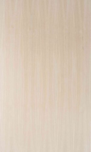 Arizona White Oak Quarter | NV-B87