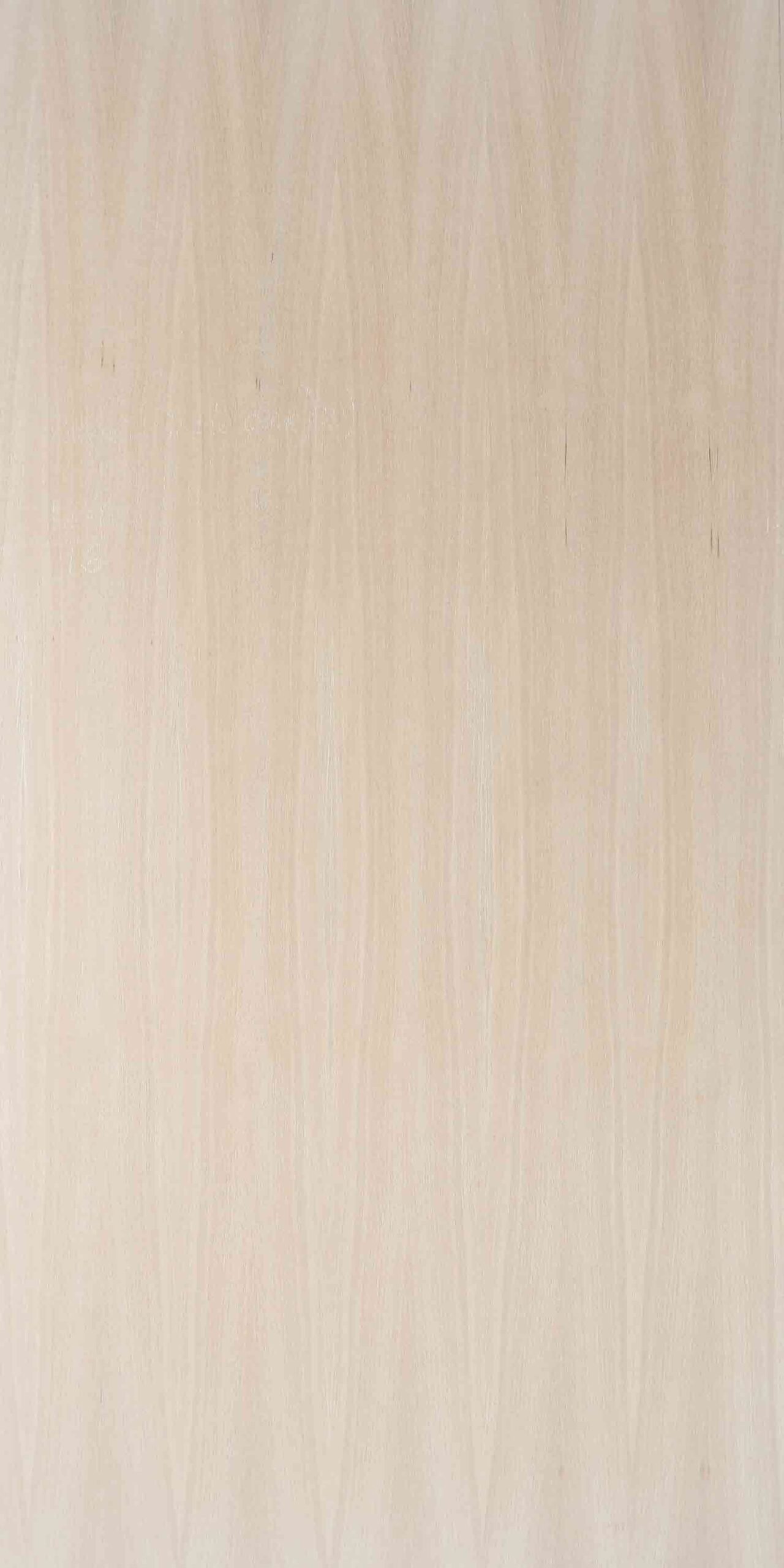 Arizona White Oak Quarter | NV-B87