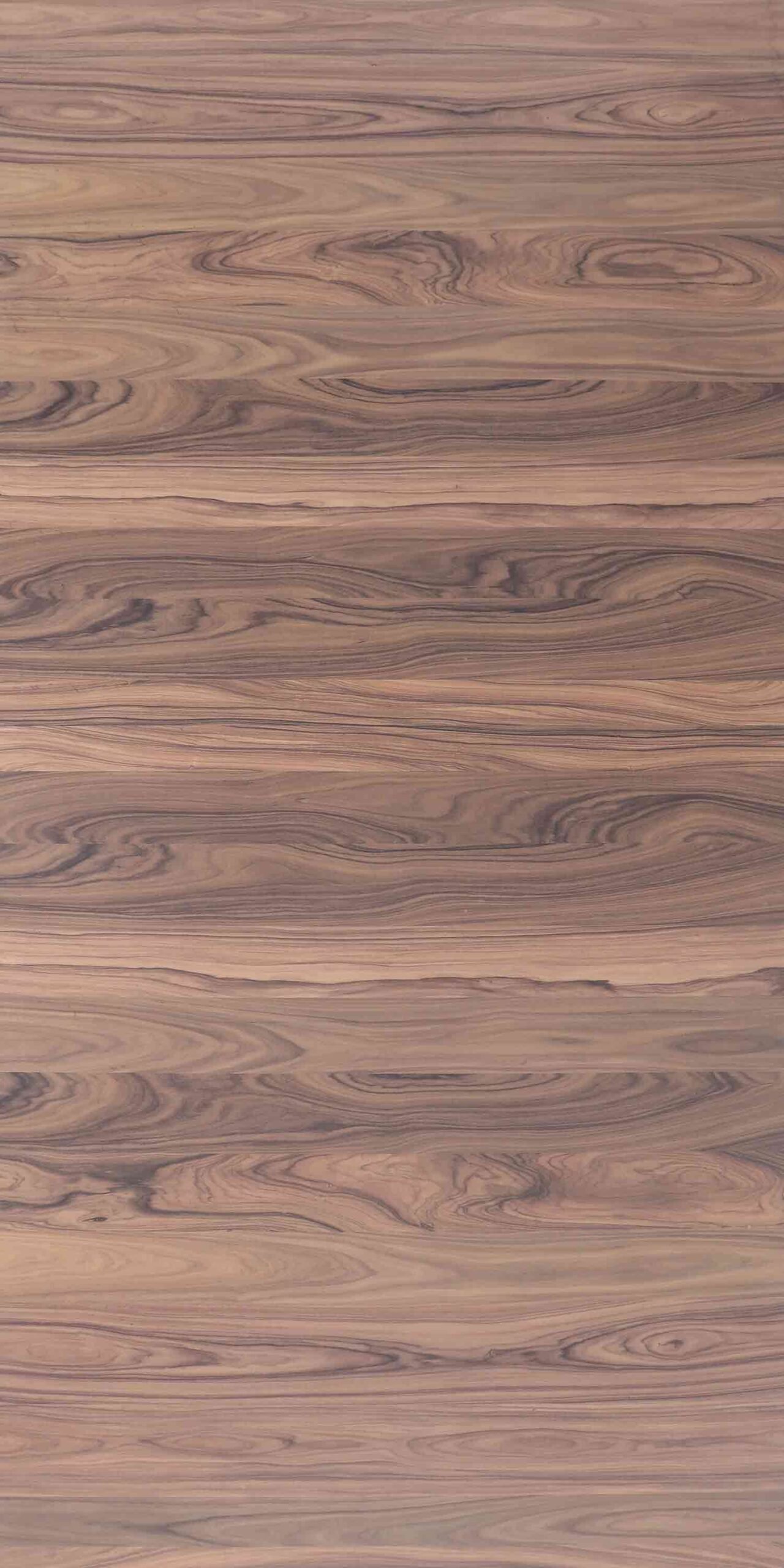 Brazilian Santos Horizontal | NV-935