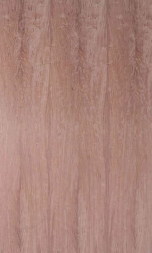 Bubinga | NV-257