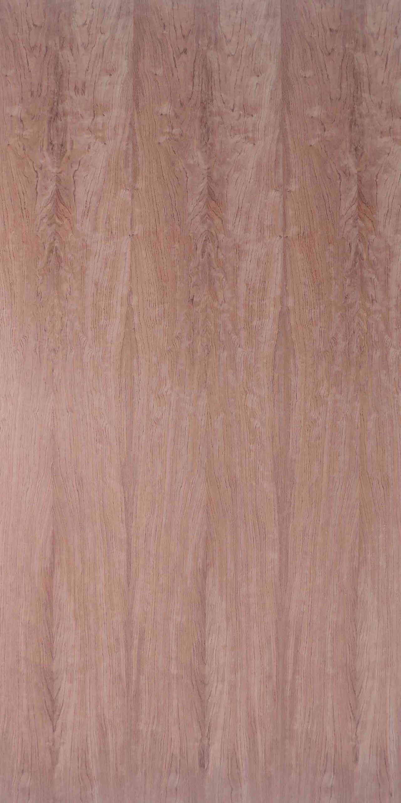 Bubinga | NV-257