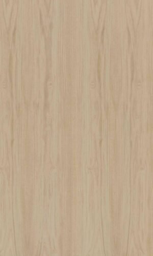 Chestnut | NV-557