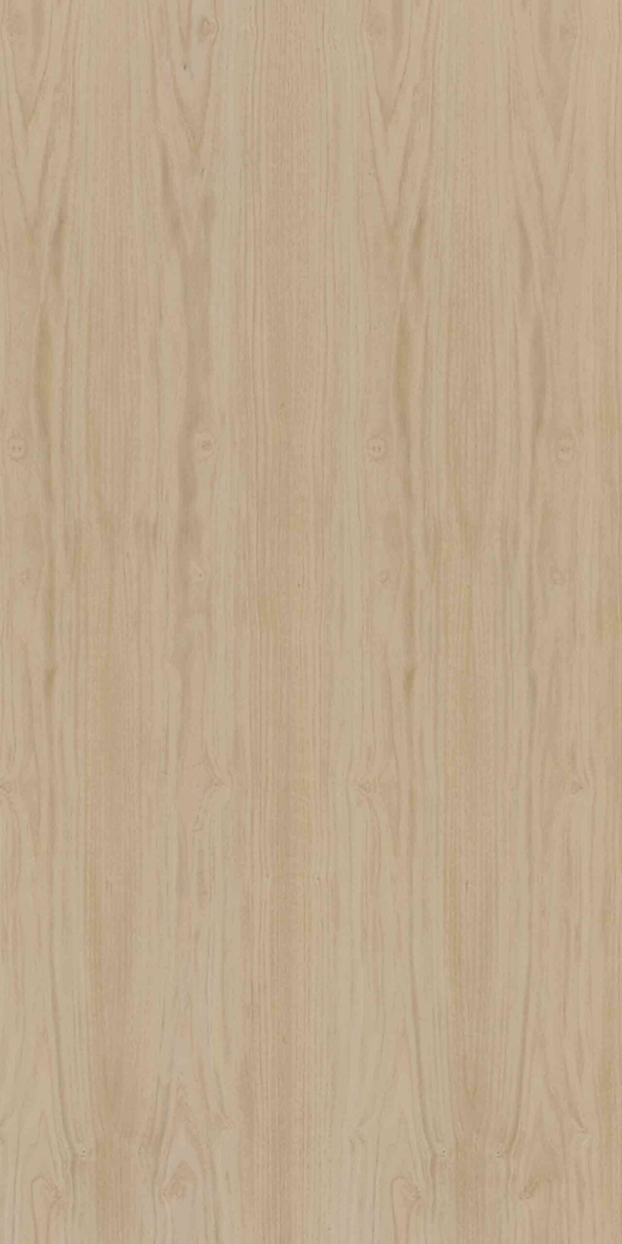 Chestnut | NV-557