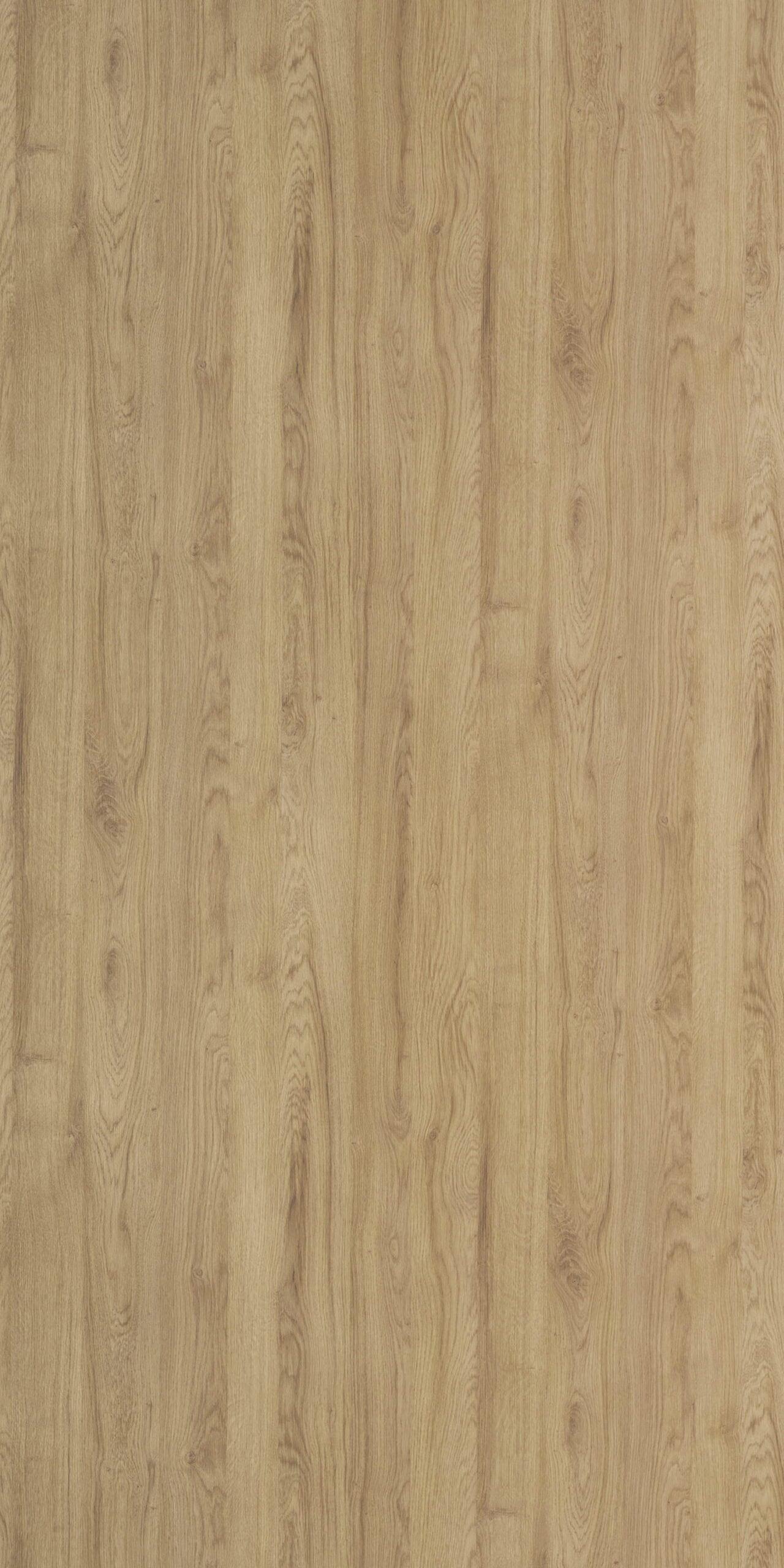 Conjo Oak4639 EO