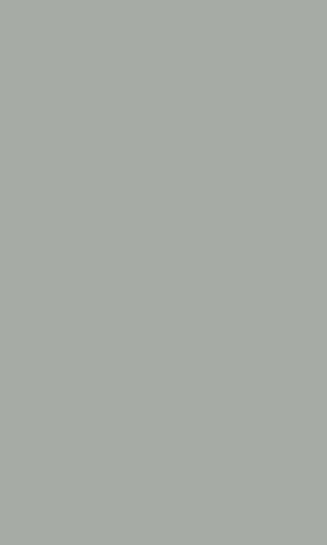 Cosmic Grey - 3222 LU