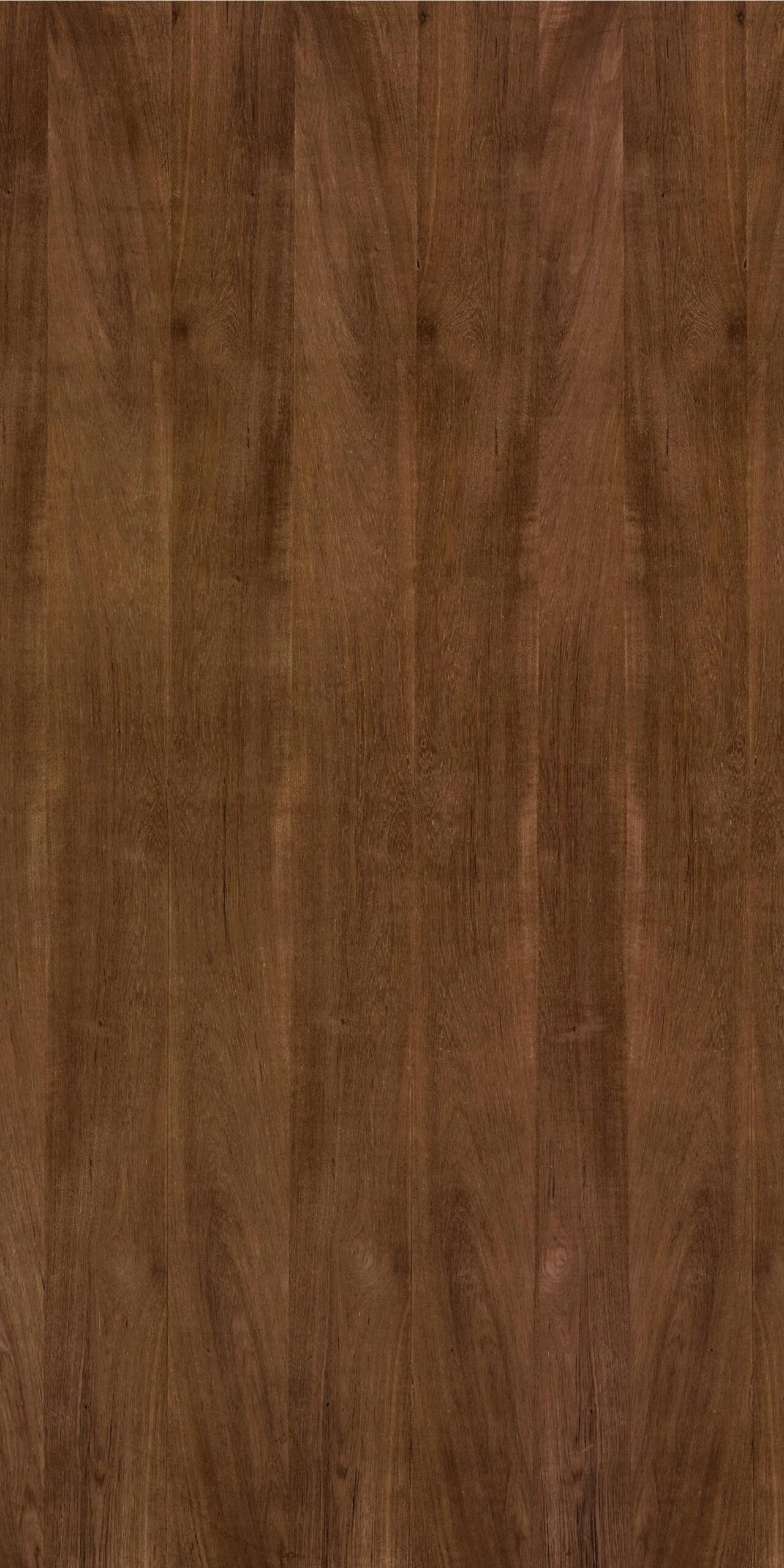 Crown Alba | VA47