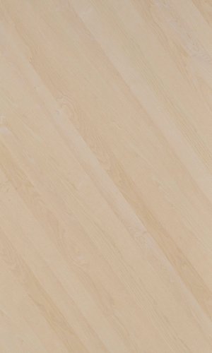 DG Frosted Ash | NV-E66