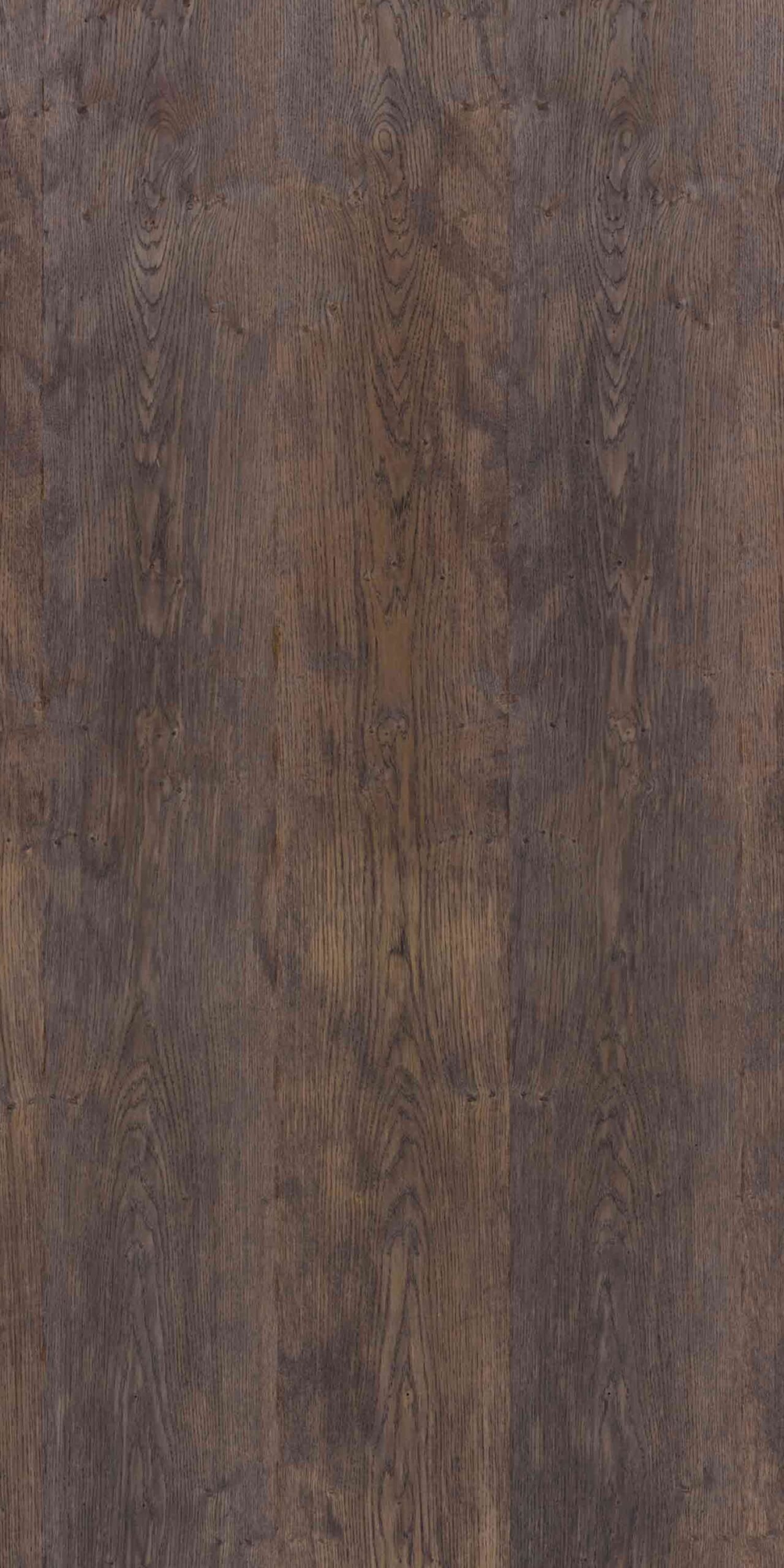 Dark Cinnamon | NV-844