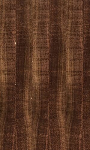 Deep Grain | NV-439