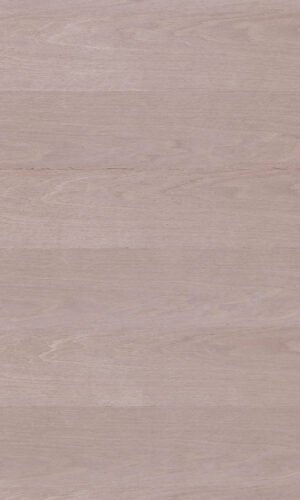 Dyed French Khakhi | D838