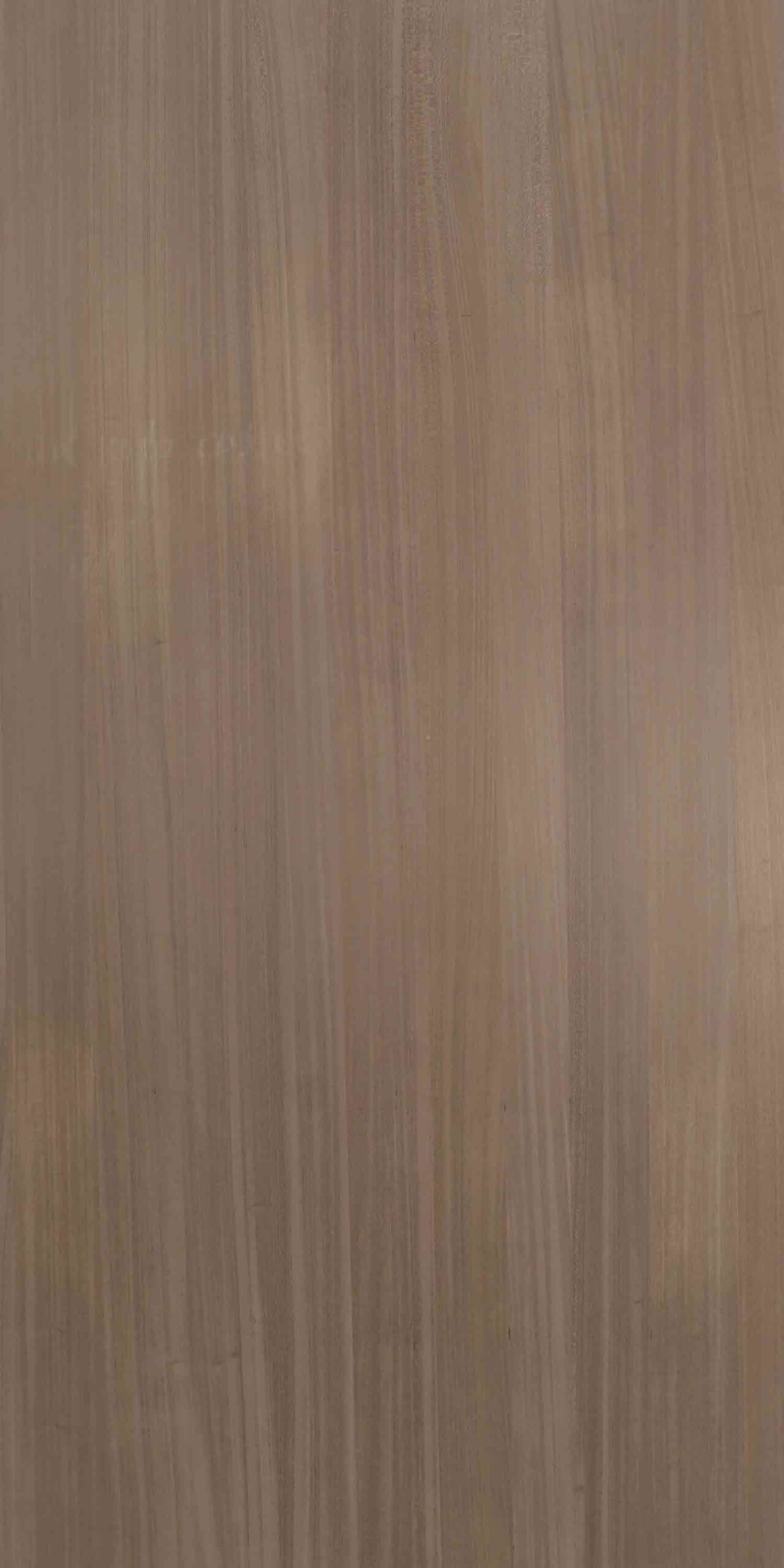 Dyed Koto Coffee
