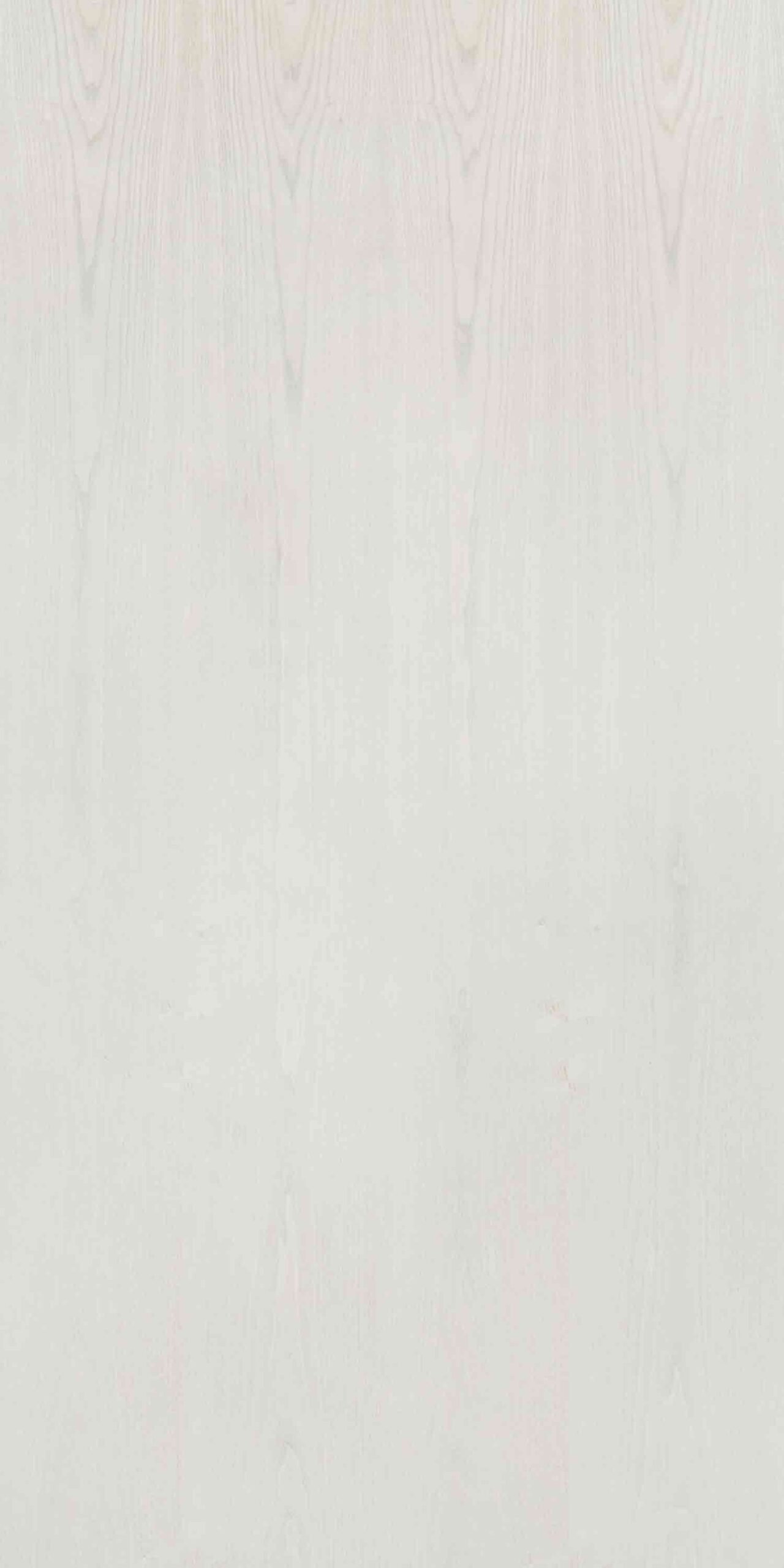 Dyed White Ash White