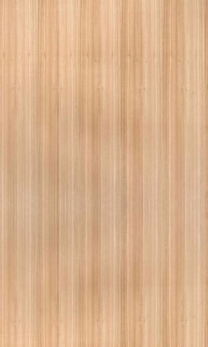 Eucalyptus | NV-222