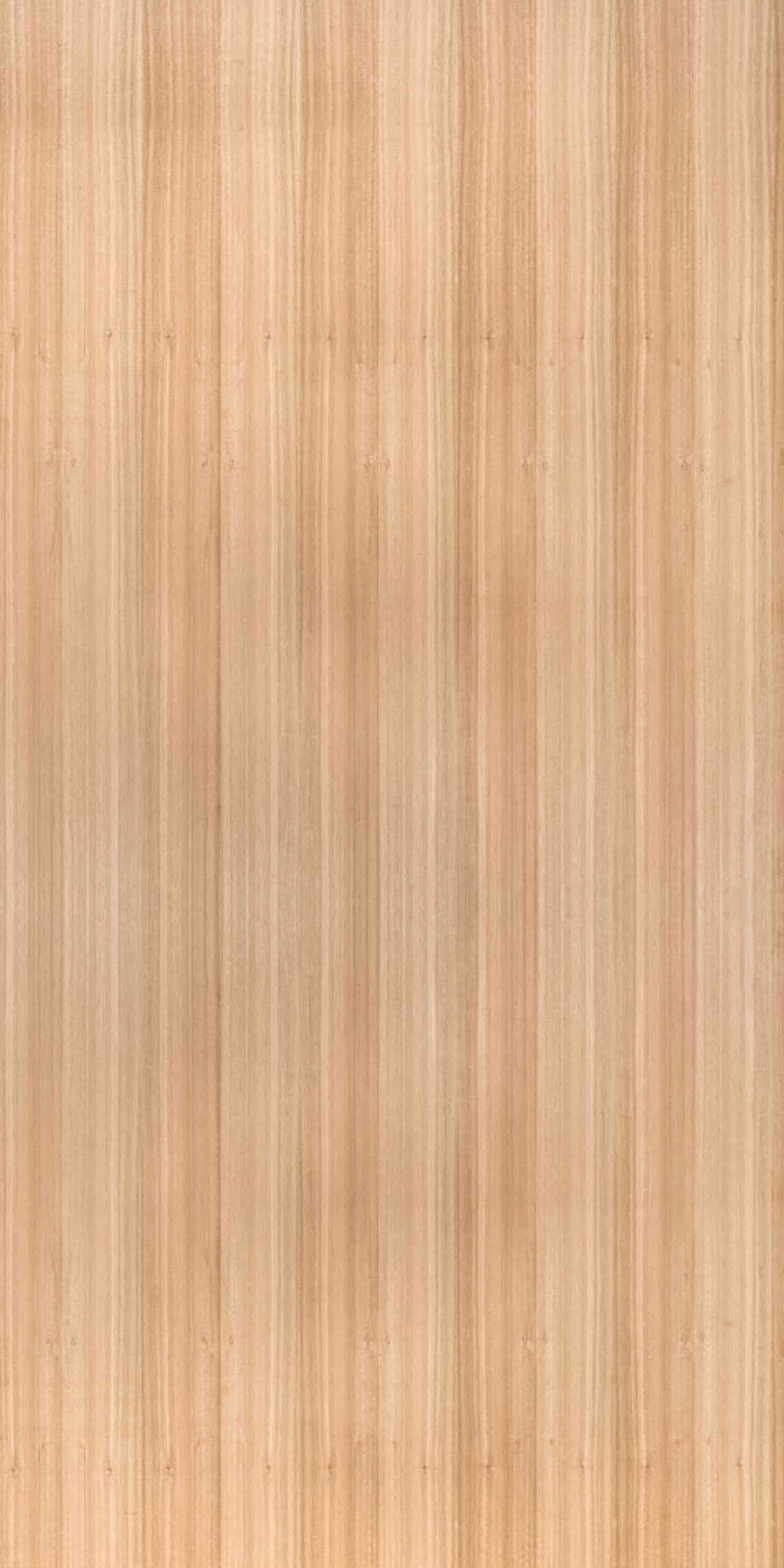 Eucalyptus | NV-222