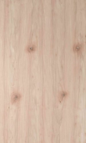 French Walnut | NV-D94