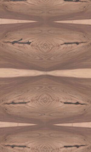 Gabon Wood Crotch | NV-B63