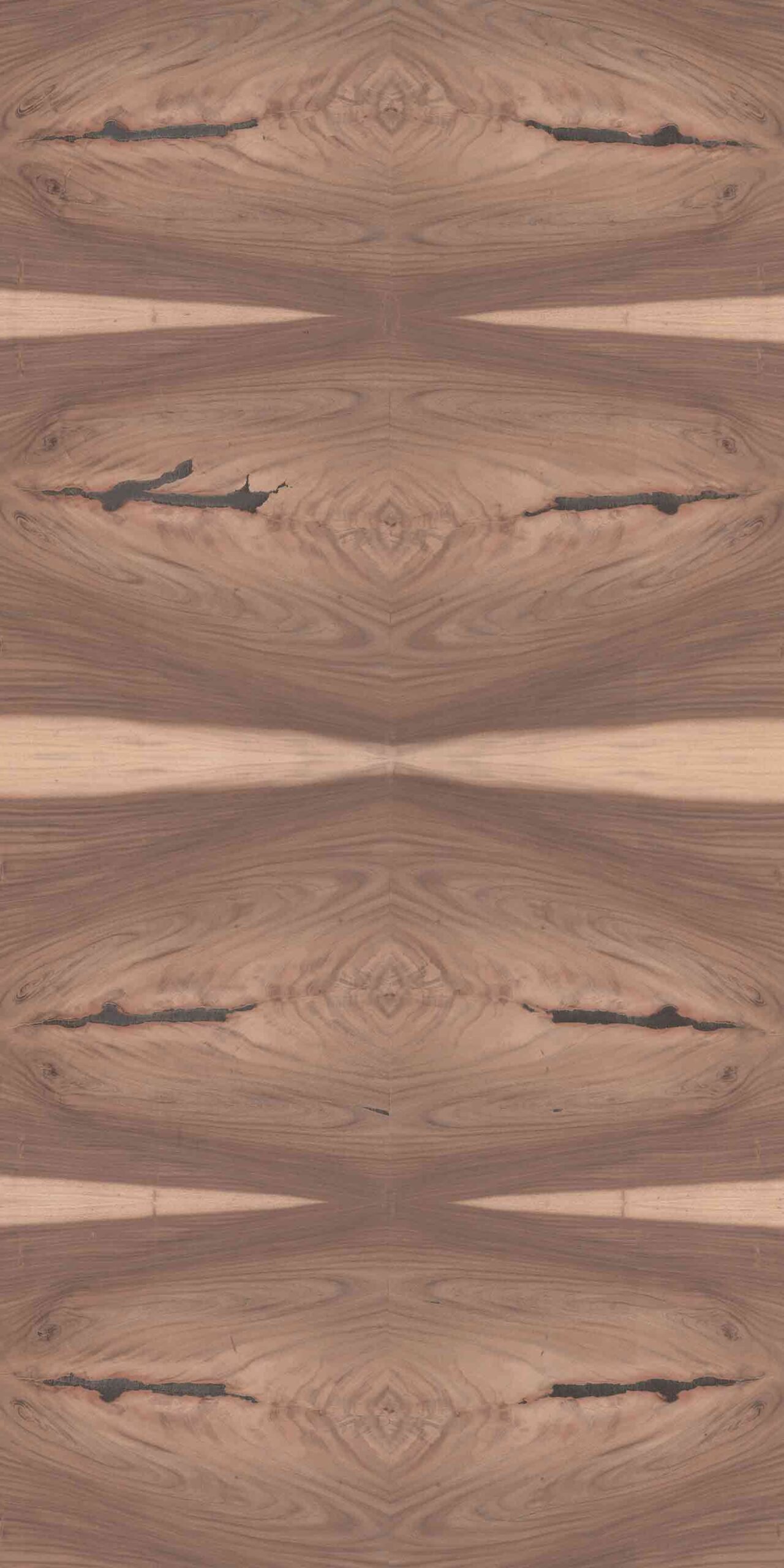 Gabon Wood Crotch | NV-B63