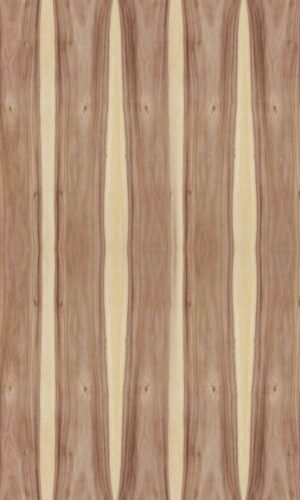 Gabon Wood | NV-833