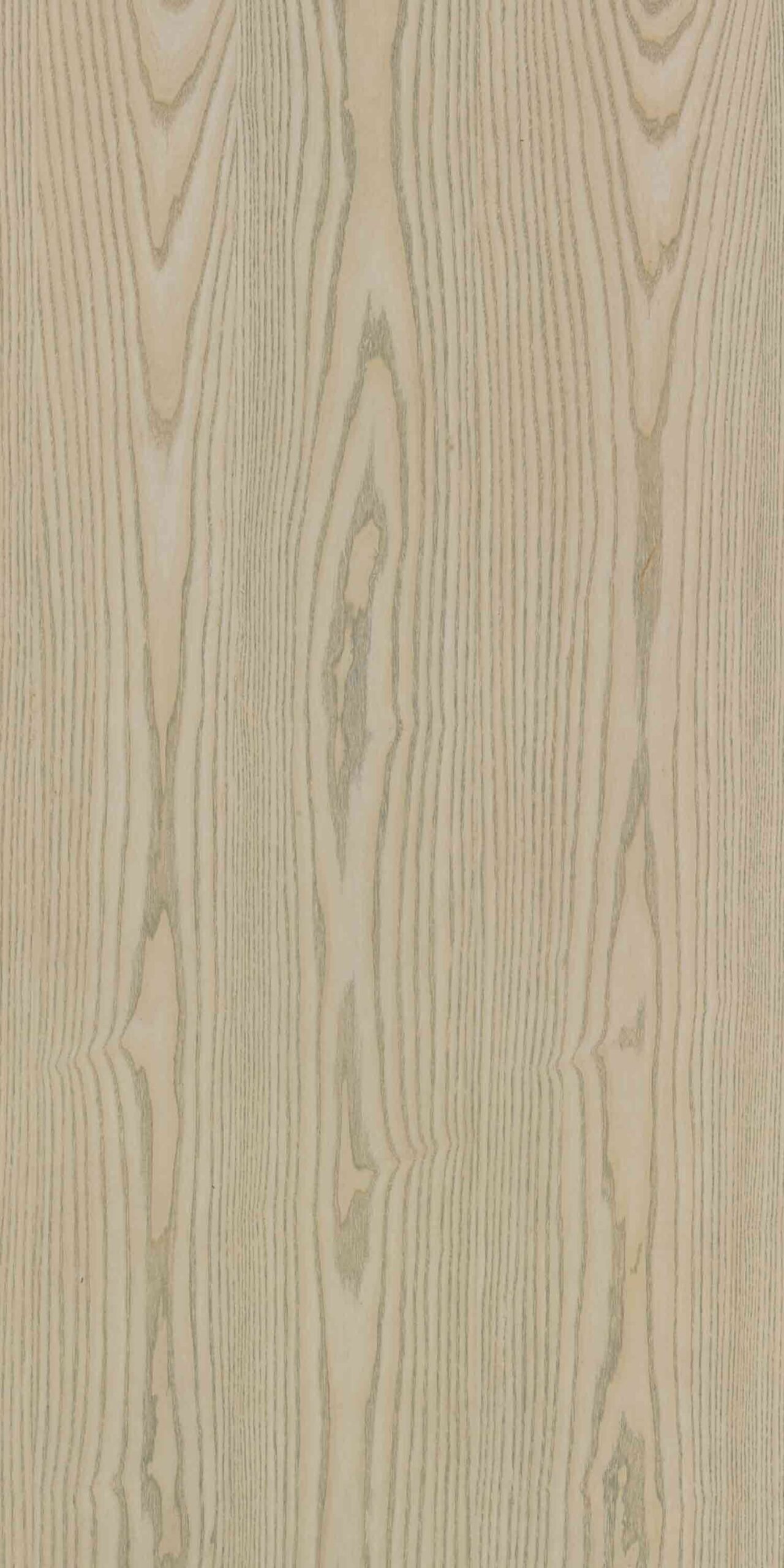 Green Canvas | NV-915