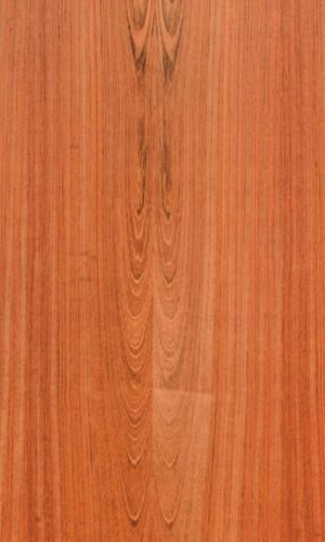 Jatoba | NV-249