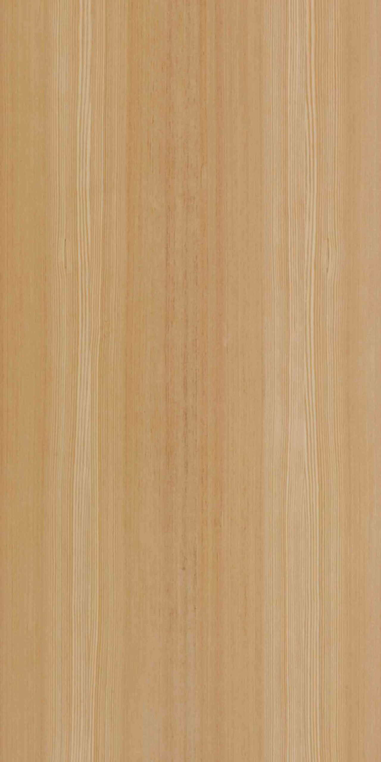 Larch | NV-341