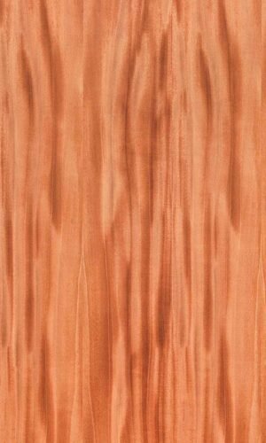 Mahogany | NV-424