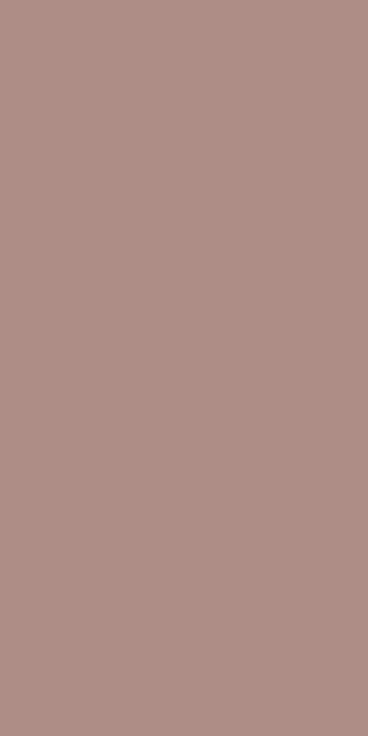 Misty Rose - 149 LU
