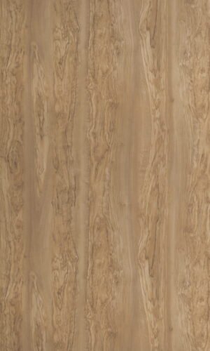 Moroccan Olive - 6882 SU