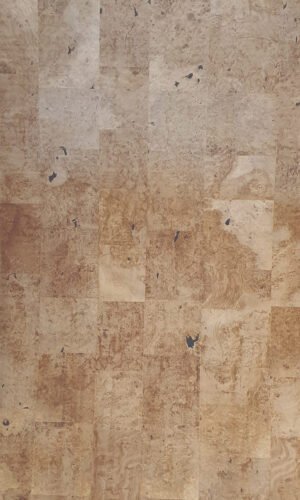 Oak Burl | NV-L032