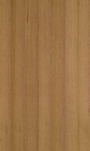 Oak Dew (Light) | NV-763L