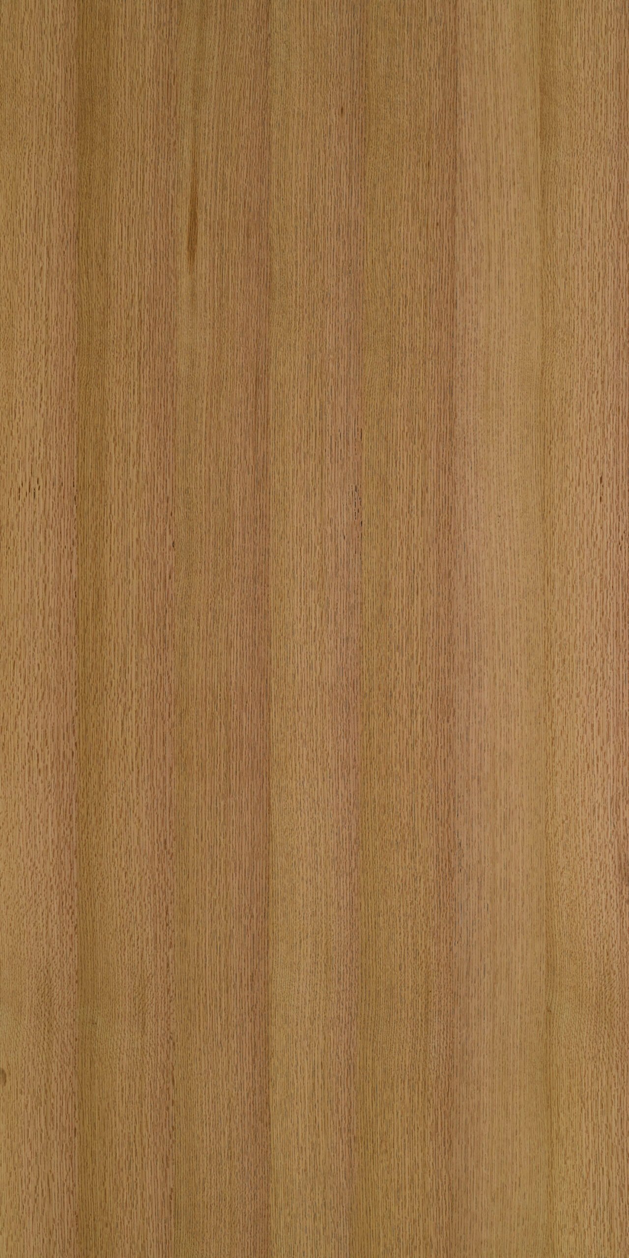 Oak Dew (Light) | NV-763L