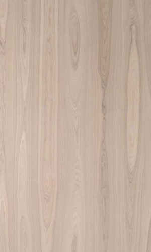 Oriental Ash | NV-D33