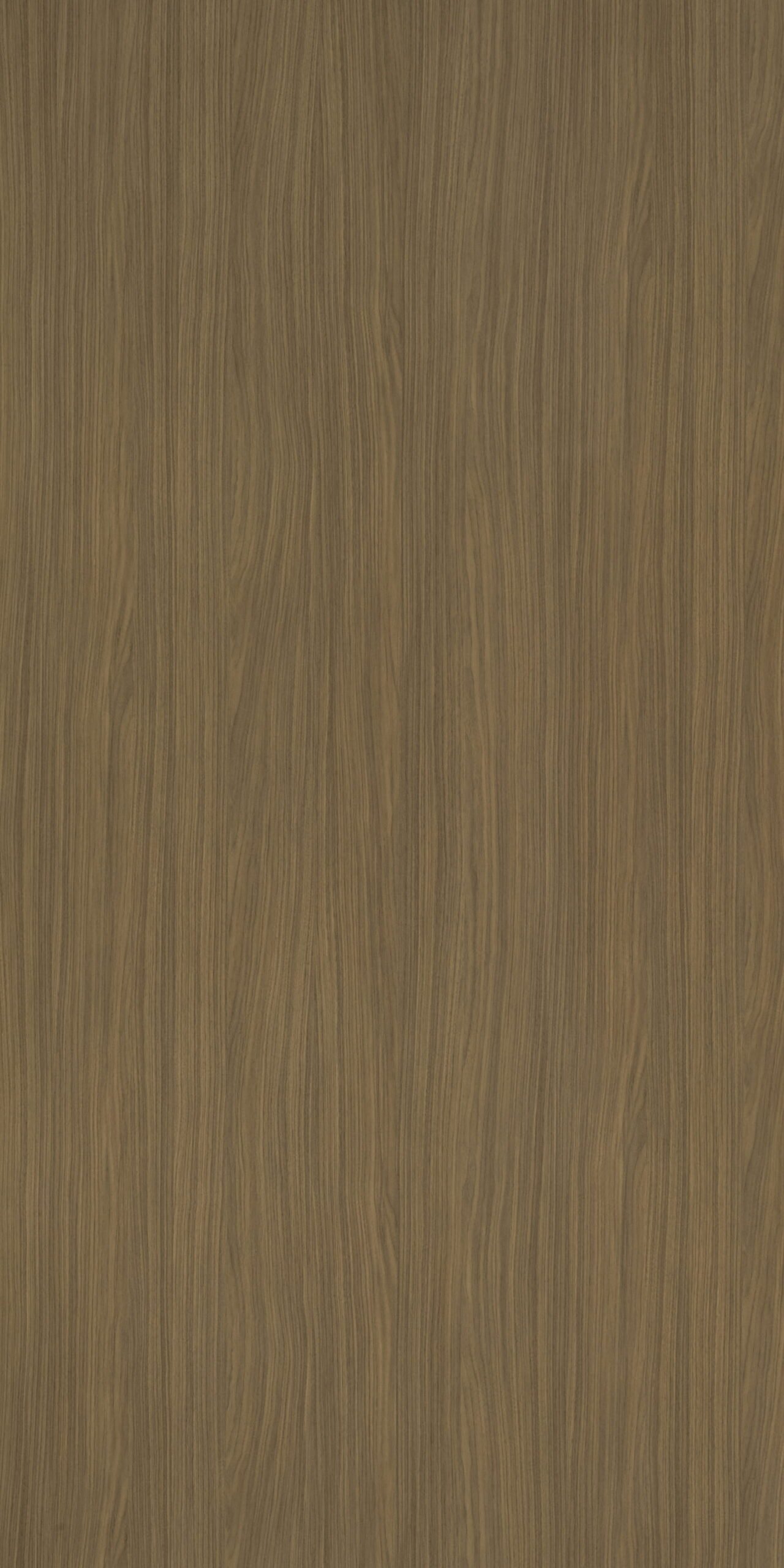 Osaka Walnut - 5416 LU