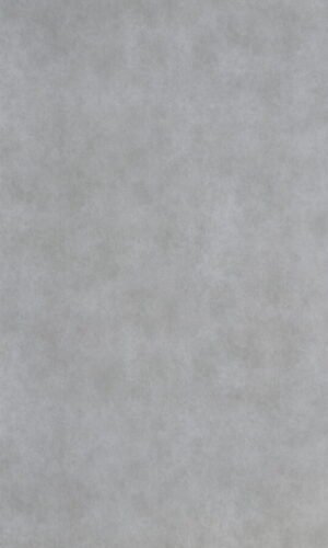 Silver Concrete3909 AR