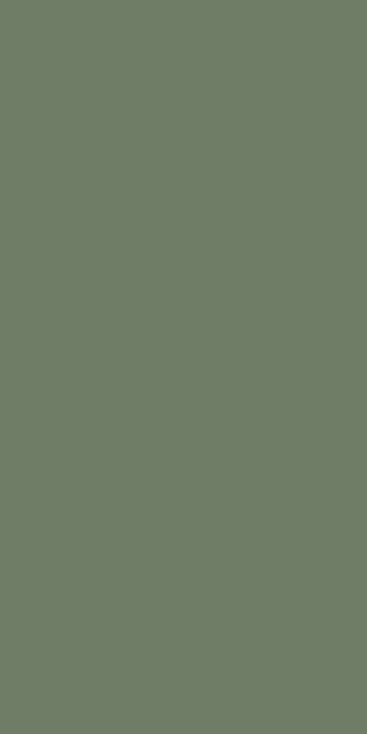 Smoke Green - 3284 ZM