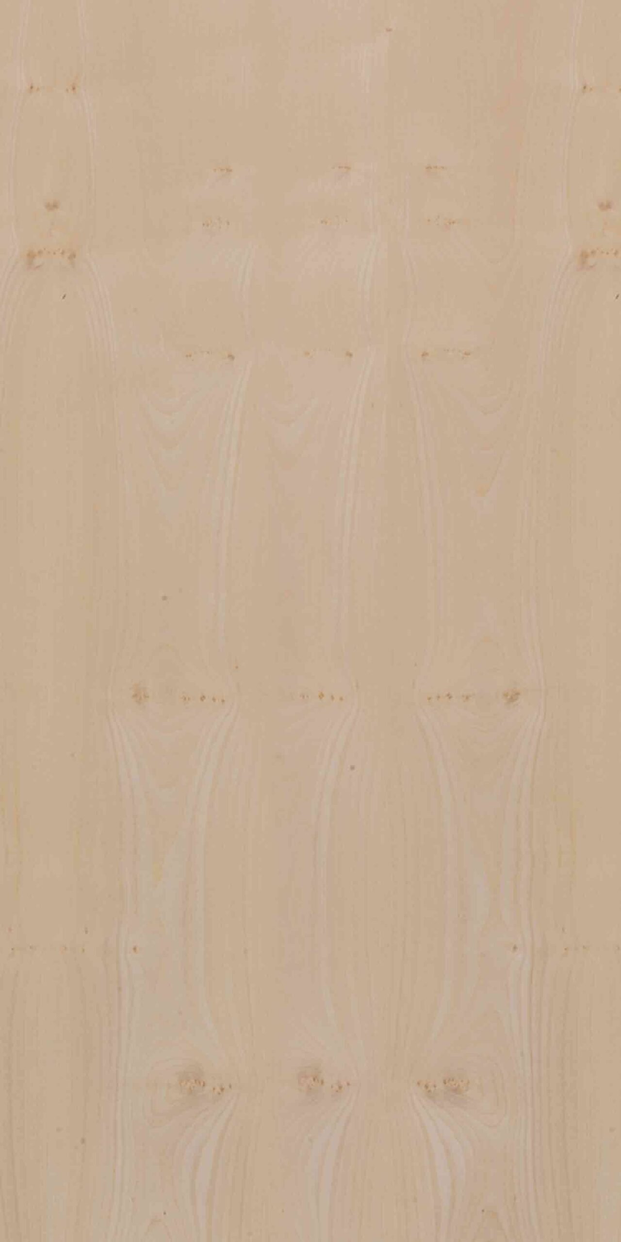Sycamore | NV-395