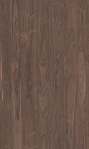 Tanzania Wood | NV-A24