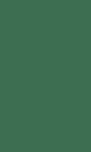 Teal - 3272 ZM