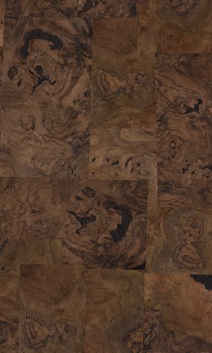 Walnut Burl | NV-923