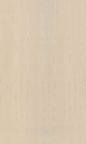 White Ash | NV-371