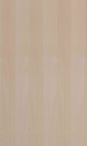 White Beech | NV-220