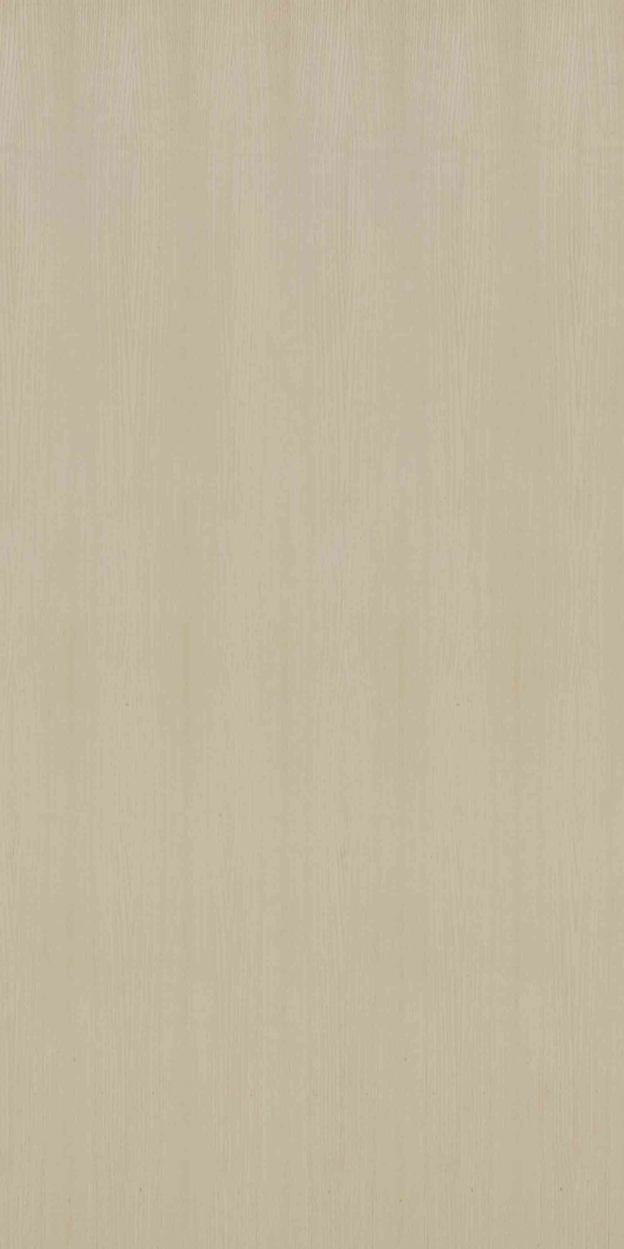 White Oak | NV-C63