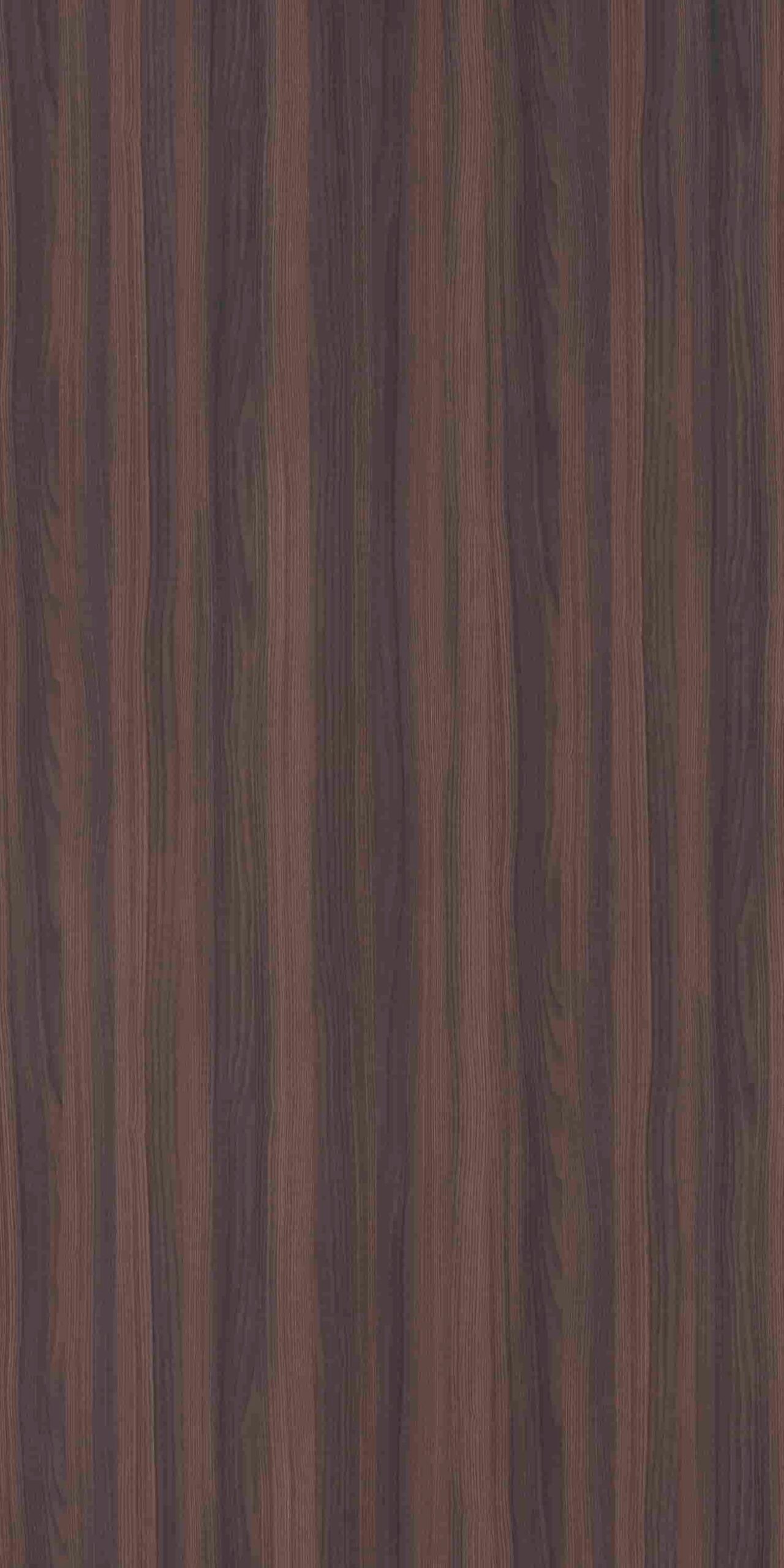 Baltic Ash | 608 SU