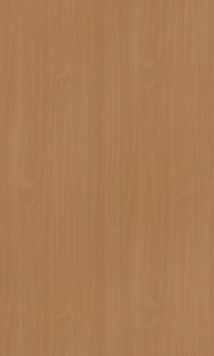 Bavarian Beech | 311 SU