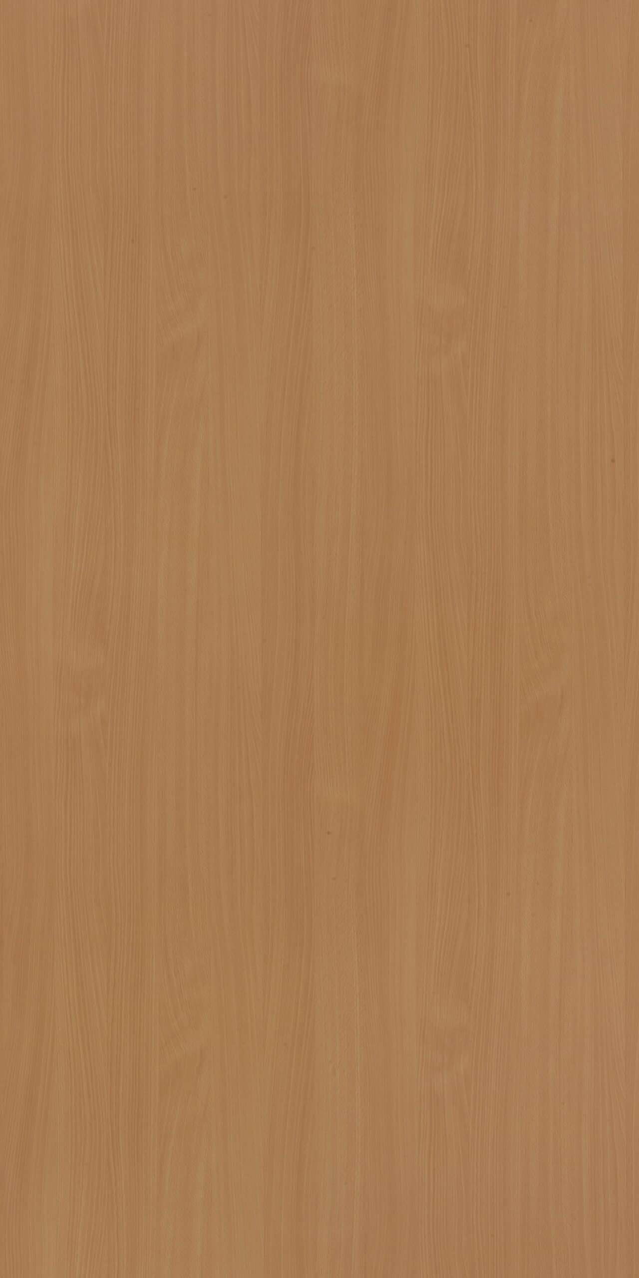 Bavarian Beech | 311 SU
