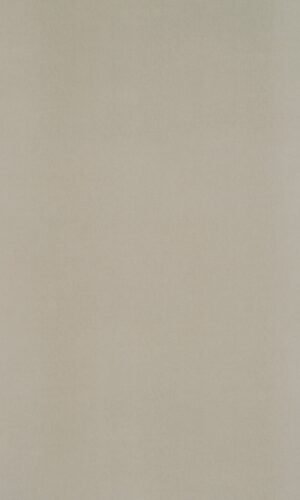 Beige Weave | 3899 SU