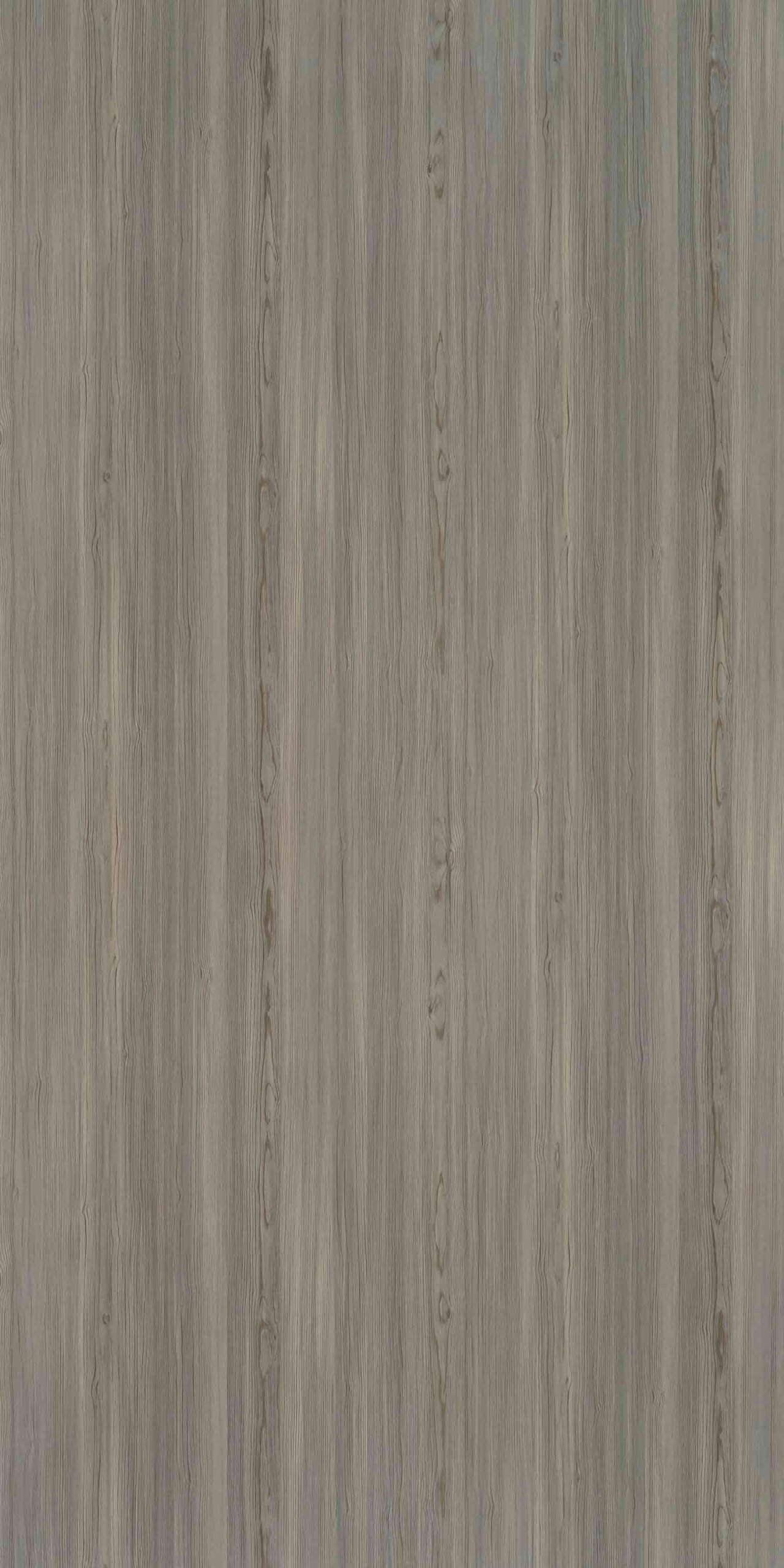 Belgian Cedar | 555 SU